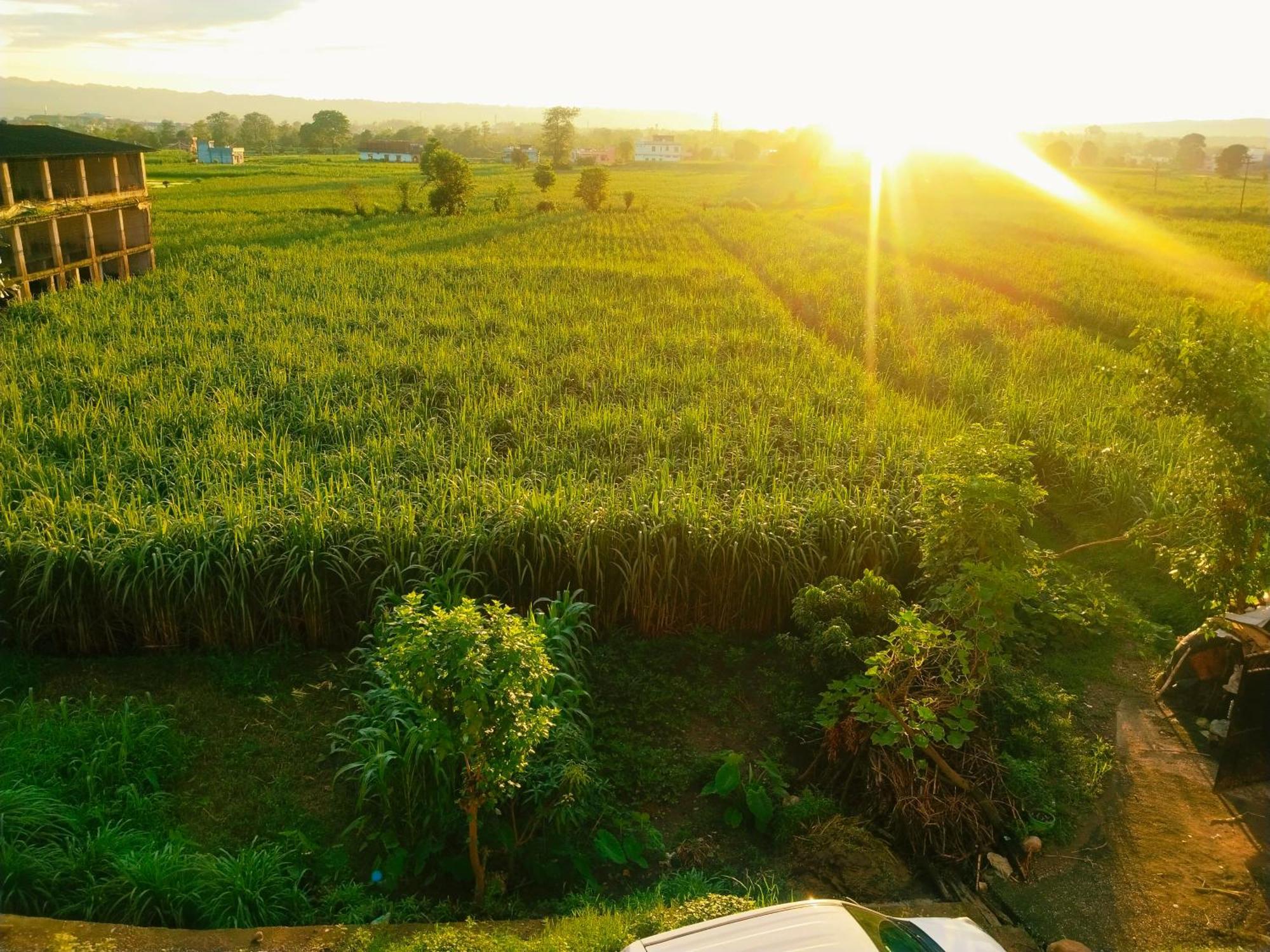 Airport Luxury Nature Homestay- Near Jolly Grant Airport Dehradun Doiwāla Dış mekan fotoğraf