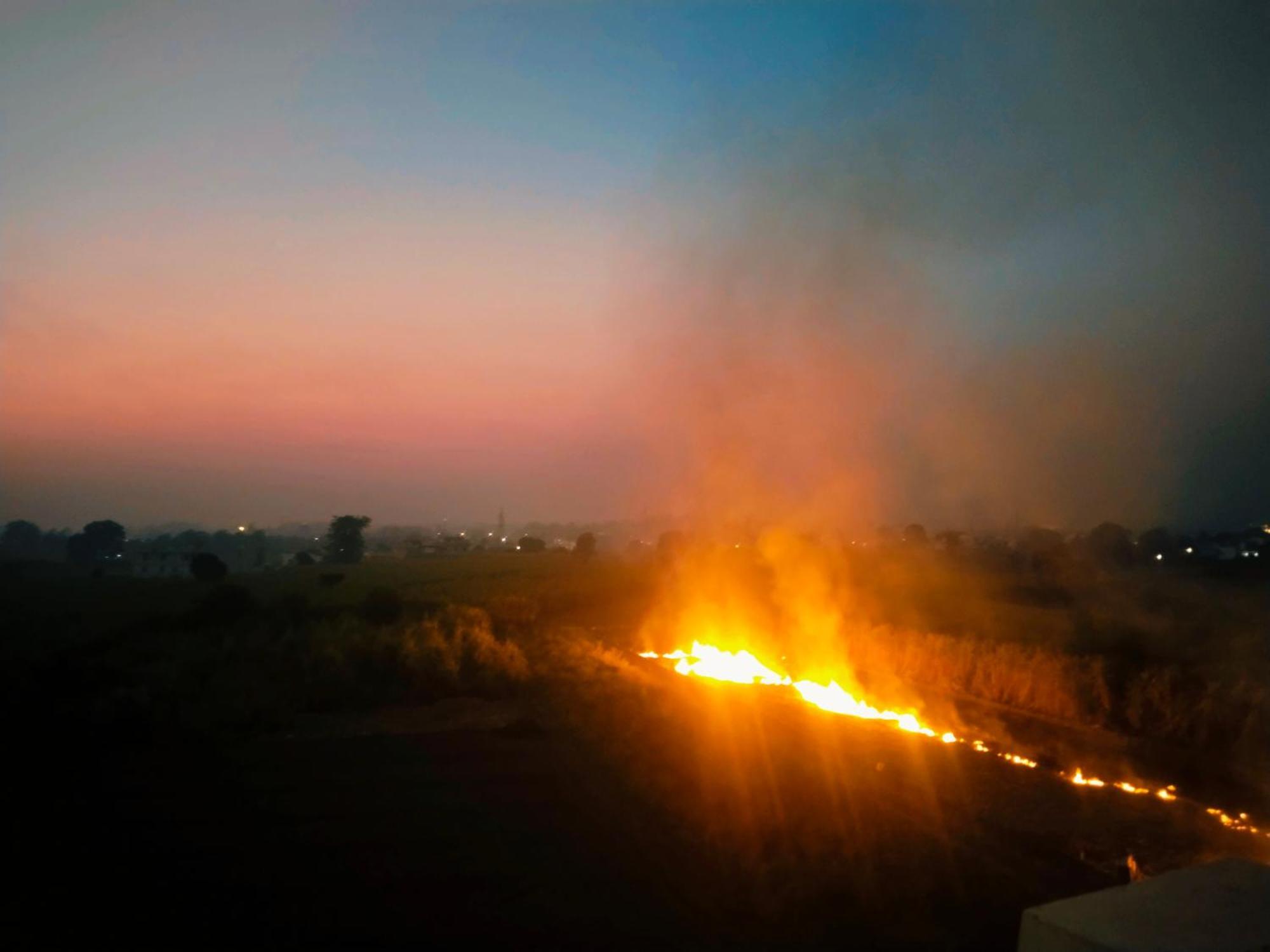 Airport Luxury Nature Homestay- Near Jolly Grant Airport Dehradun Doiwāla Dış mekan fotoğraf