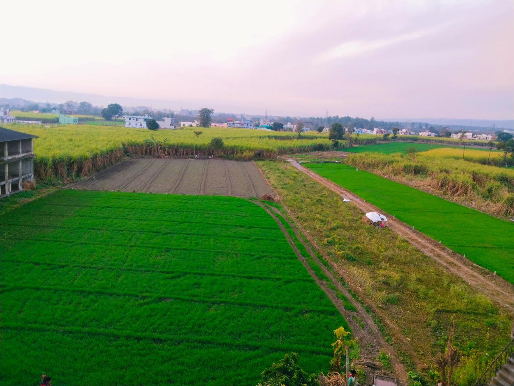 Airport Luxury Nature Homestay- Near Jolly Grant Airport Dehradun Doiwāla Dış mekan fotoğraf