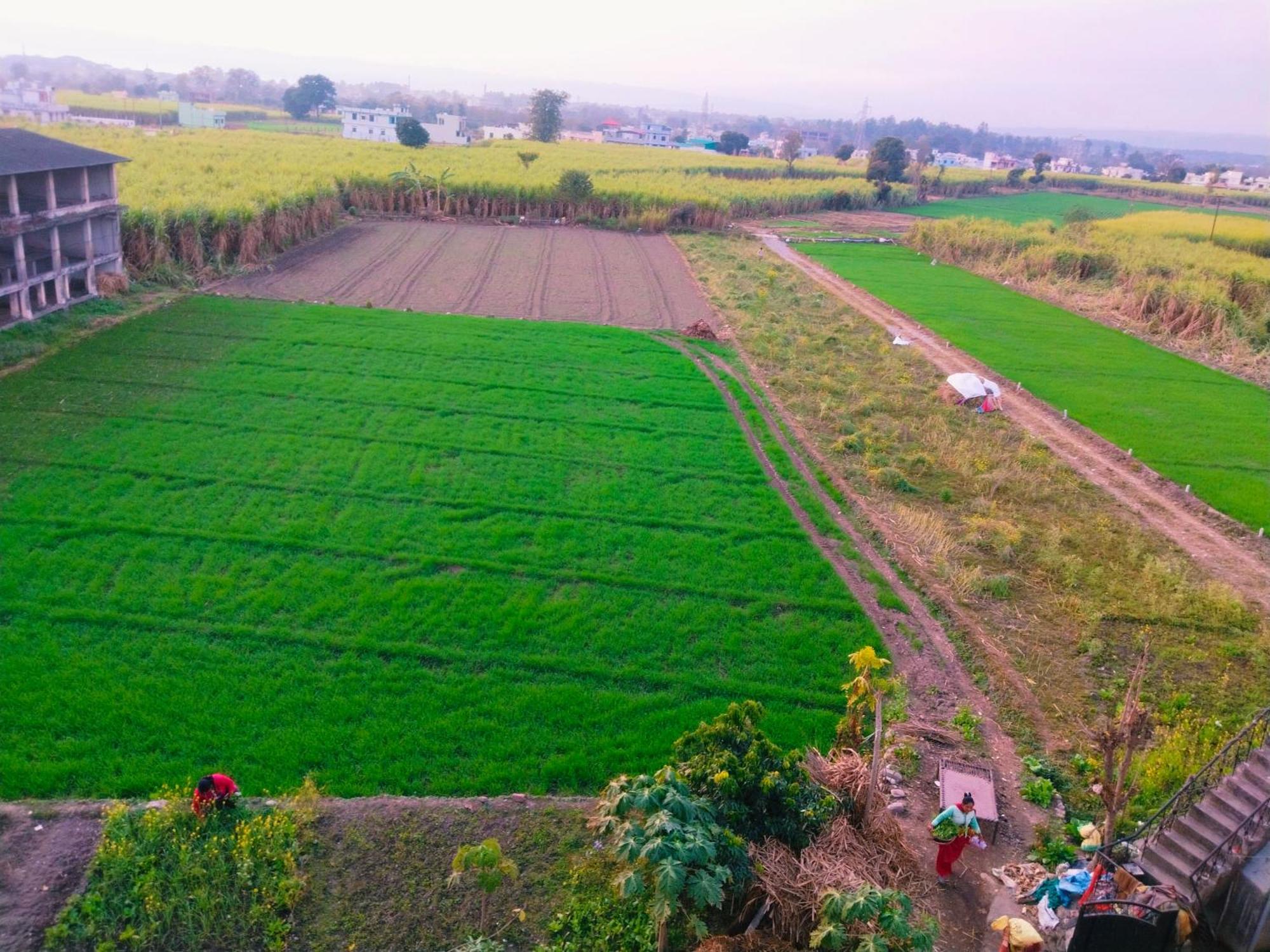 Airport Luxury Nature Homestay- Near Jolly Grant Airport Dehradun Doiwāla Dış mekan fotoğraf