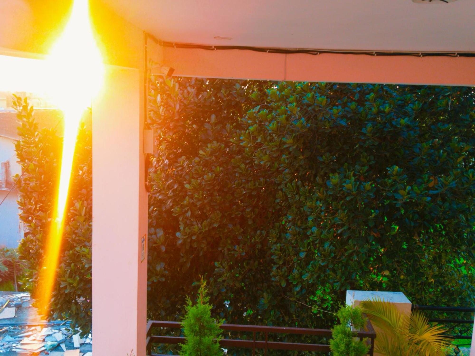 Airport Luxury Nature Homestay- Near Jolly Grant Airport Dehradun Doiwāla Dış mekan fotoğraf