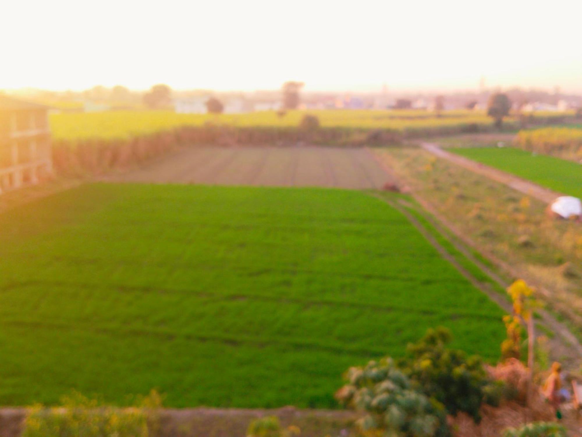 Airport Luxury Nature Homestay- Near Jolly Grant Airport Dehradun Doiwāla Dış mekan fotoğraf